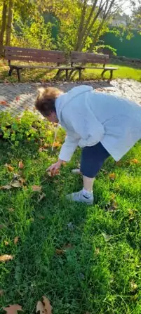 Obrázek WhatsApp, 2024-11-06 v 14.26.09_1f8a648d