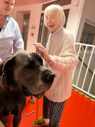 Obrázek WhatsApp, 2024-11-14 v 14.50.59_75596b9d