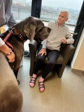 Obrázek WhatsApp, 2024-11-14 v 14.51.48_d64d2f2e