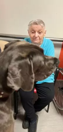 Obrázek WhatsApp, 2024-11-14 v 14.53.26_4c6bf1f4