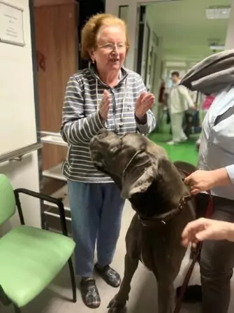 Obrázek WhatsApp, 2024-11-14 v 14.54.36_226848b2