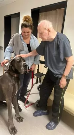 Obrázek WhatsApp, 2024-11-14 v 14.54.51_146eb7f6