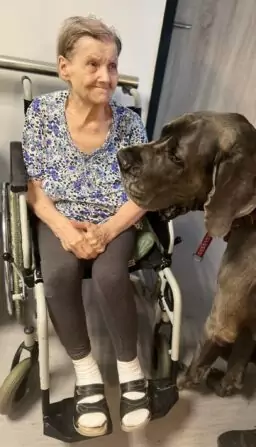 Obrázek WhatsApp, 2024-11-14 v 14.56.24_bc32d2e3