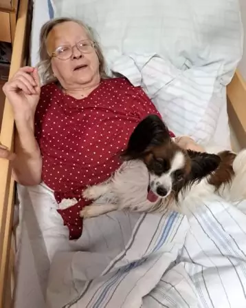 c660355d-054f-404a-880b-c8fb61b37890