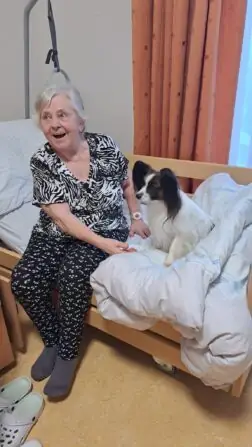 d90e7c07-4fd8-4630-84e8-14a33892af8b