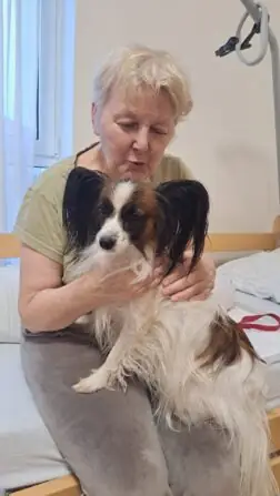 fb3390ae-acad-4226-b6ad-d99a22b713b8