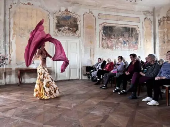 orientální tanečnice (23)