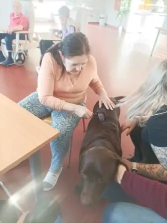 162181b0-1ea5-4a0d-aabe-ff954399f4e5