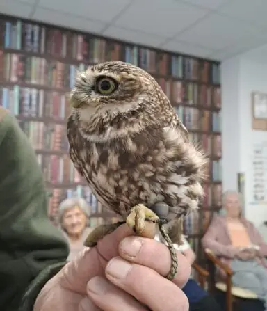 2902963f-91de-44d2-91e0-13ecb602f6be