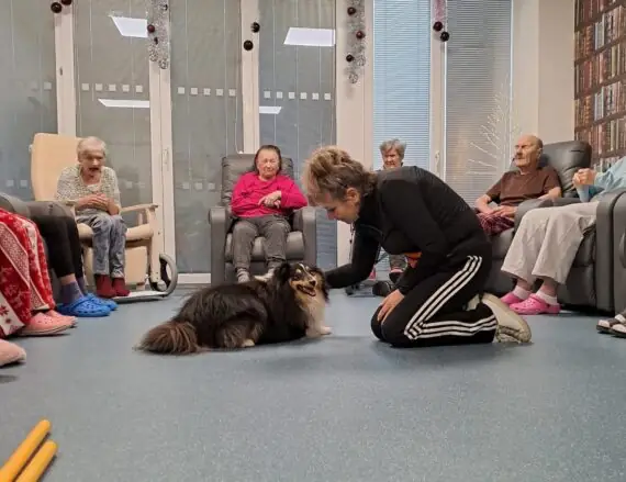 29667157-1739-4d6c-9cae-e0ae2755ba75