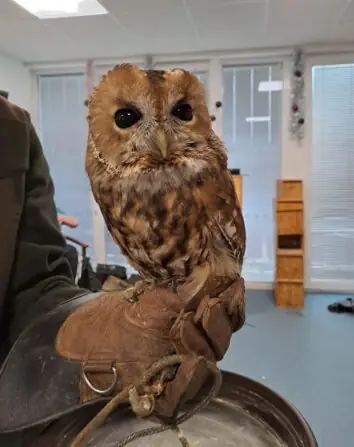 2c684d7c-b7c8-446d-954b-2fdfb18581be