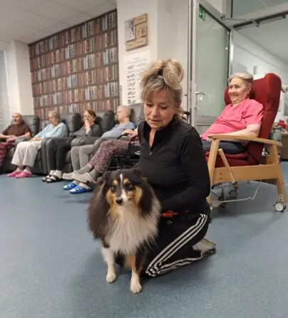 2d0b7d1d-9bcf-49c4-947c-12394c5bbbeb