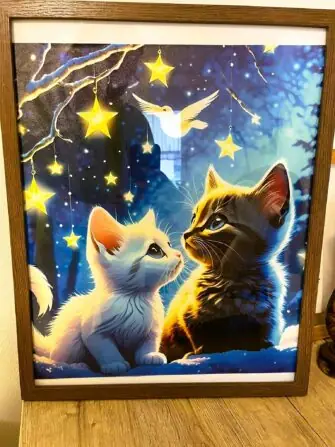 462555868_938577481110196_1595788335249143636_n