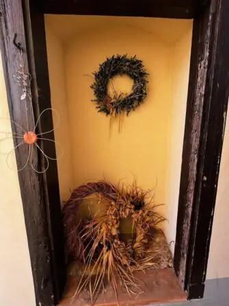 462564454_910233497922270_8887724002468628465_n