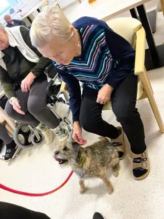 462567430_1270350000671848_8891725829848997020_n