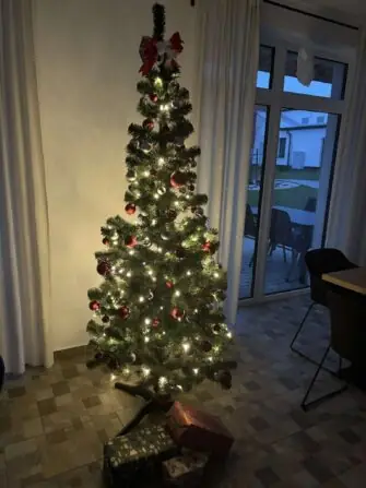 462570378_1505912776741029_1610518886785843095_n