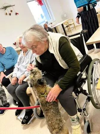 462573078_8199449700160091_7018293974901517614_n