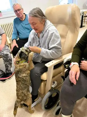 462582124_1637386990992814_3236292119850036948_n