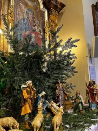 466828636_1113936396533254_8921889134290154915_n