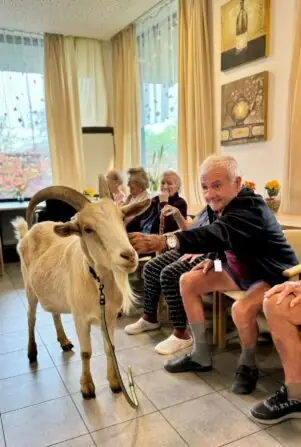 468434057_556683447074648_4133960676387842509_n