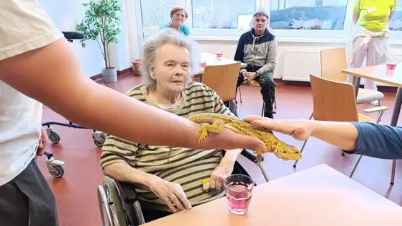 53c6dccc-6dd6-413e-8b43-a37591328ecc