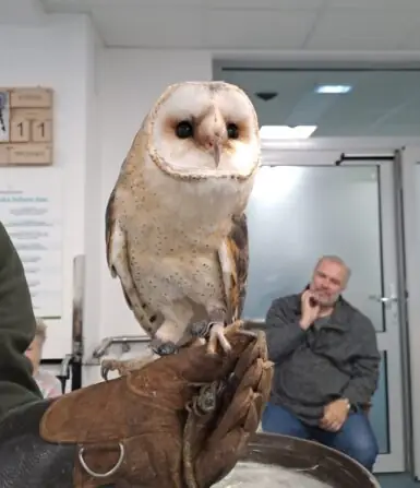 8965b21d-3440-46b1-91a7-8ff5dac85865