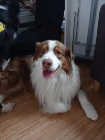 IMG_20241110_103136(1)