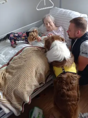 IMG_20241110_103705(1)