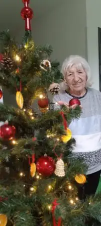 Obrázek WhatsApp, 2024-11-27 v 11.05.29_f488495c