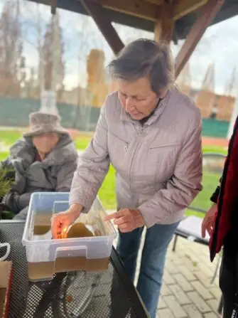 Obrázek WhatsApp, 2024-12-19 v 11.25.36_00b7b803