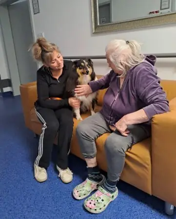 b1e01a15-d79a-46b1-a312-f6815fbb9721