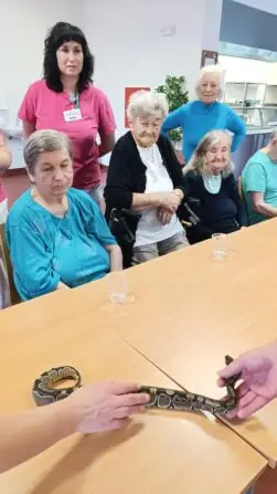 e54f156d-03e8-4258-90ef-2b9c878504a1