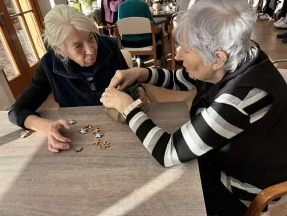 vánoční výzdoba (7)