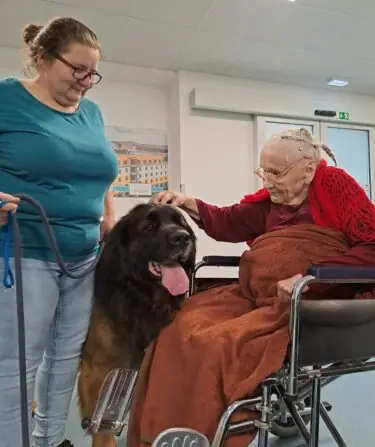 01147d75-040f-42ca-b938-d15f6ad62080