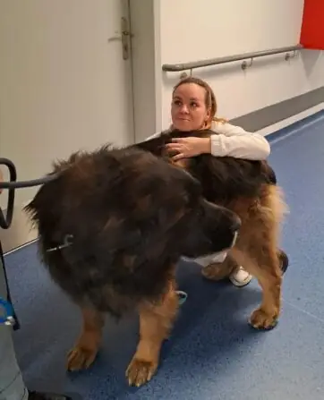 454b951a-37e5-4816-84de-f9f84daeb50a