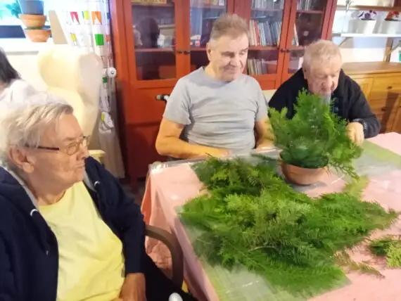 IMG_20241125_093721_384