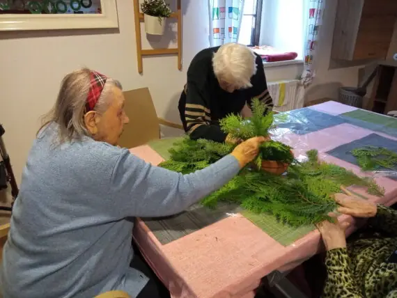 IMG_20241125_094518_500