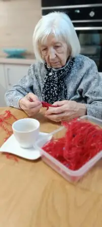 Obrázek WhatsApp, 2024-12-03 v 08.30.20_18c00249