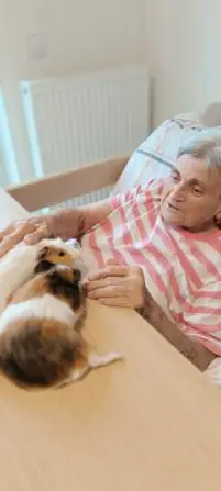 Obrázek WhatsApp, 2024-12-16 v 15.01.29_8e56b519