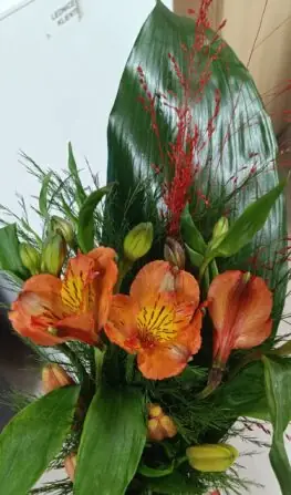 Obrázek WhatsApp, 2024-12-31 v 06.57.27_0563b8e7