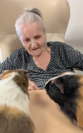 Obrázek WhatsApp, 2025-01-10 v 14.54.13_11e3c19f