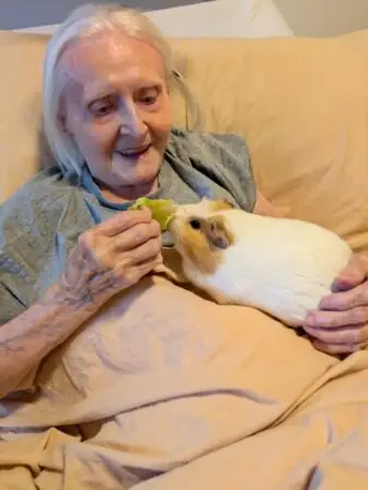 Obrázek WhatsApp, 2025-01-10 v 14.54.22_726c9496