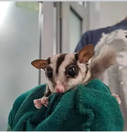 Screenshot_20240926-120046_Facebook(2)