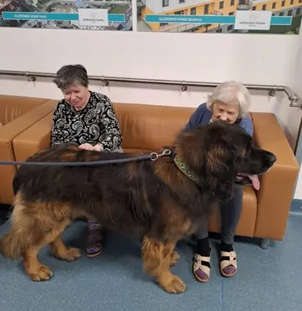 aa2150e3-b7b5-4d36-aaff-ded171702206