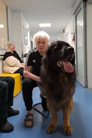 c4607acf-dc16-48fe-8aec-37ba61303f1b