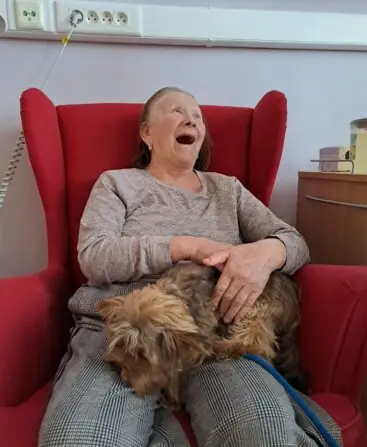 d0052a76-02cd-44c5-9b87-03328f373e2c