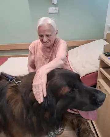 d3f2e028-e36a-419a-b9c7-9fccf67f79dd