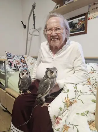 2e0ac5f7-ece1-4a3b-bb49-a492791ebd18