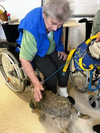 480567838_571891002519277_5813473192315903569_n