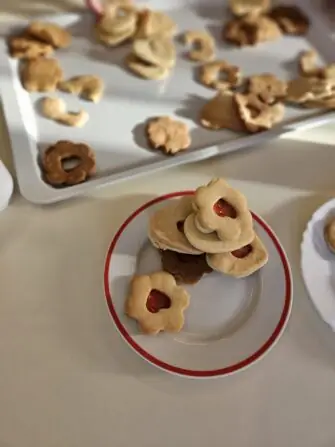 51ceabc2-fc2e-45c8-a9a4-58e4f3fbd5c7